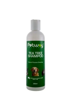 Tea Tree Shampoo