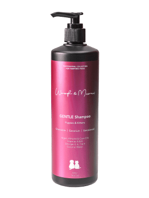 GENTLE Shampoo 500ml