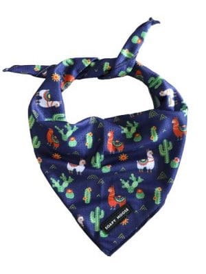 Desert llama bandana