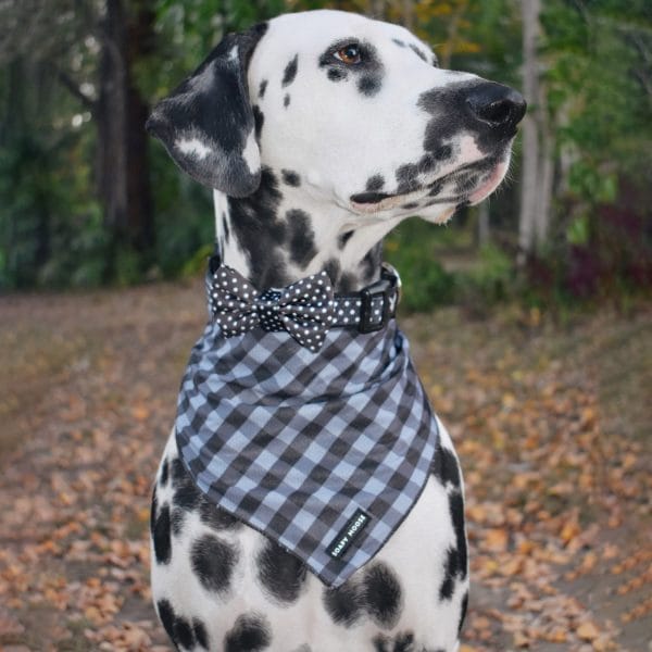 The Manhattan Bandana - Image 2
