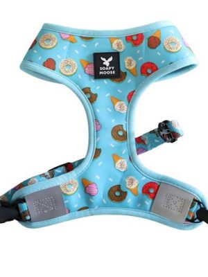 Sweet Temptations harness front