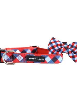 Trendsetter collar
