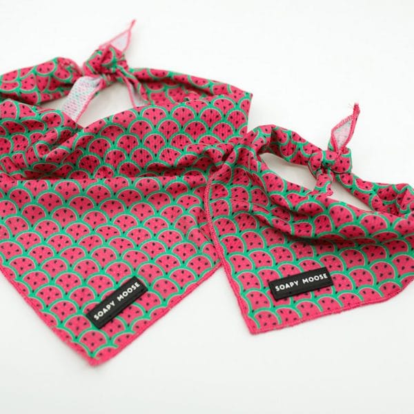 Watermelon Bandana - Image 2
