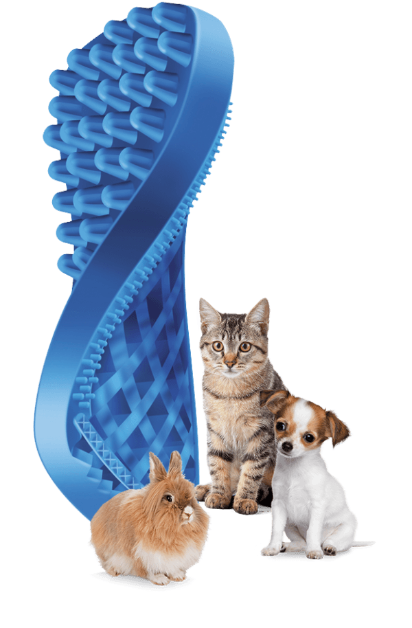 Pet + Me Blue Brush - Soft