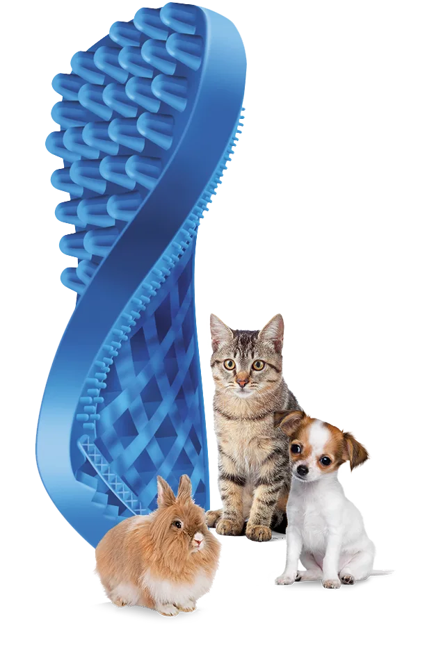 Pet + Me Blue Brush - Soft