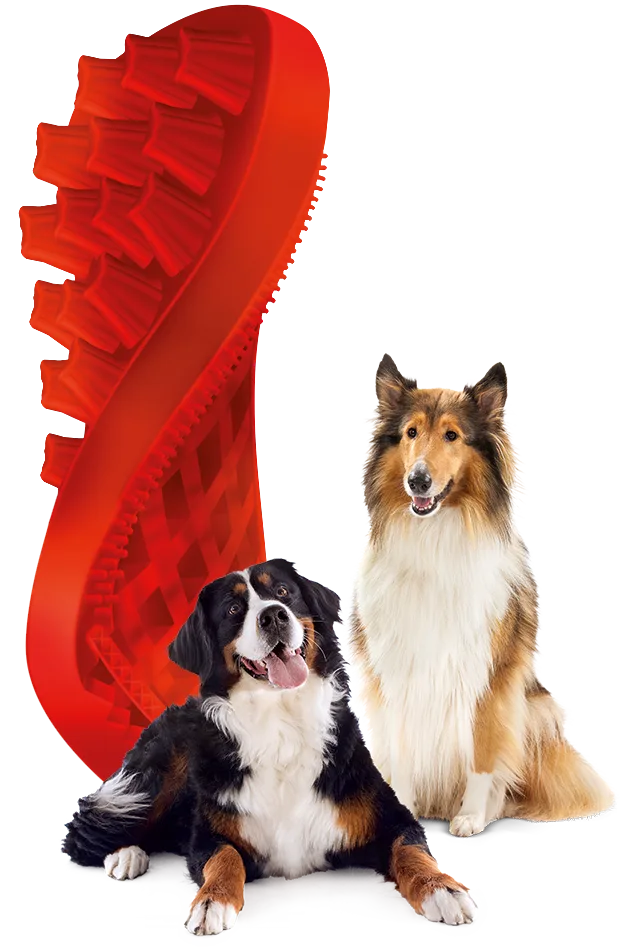 Pet + Me Red Brush - Firm