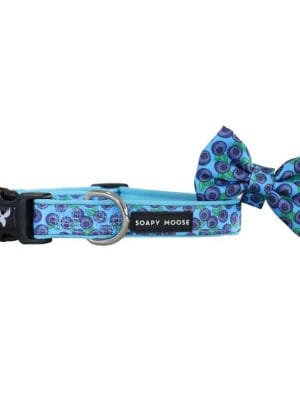 Blueberries collar