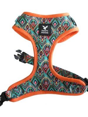 Moroccan sunrise harness front
