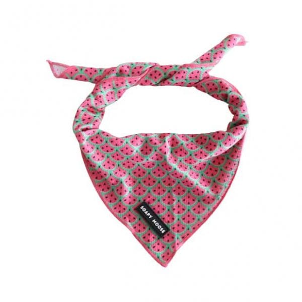 Watermelons bandana
