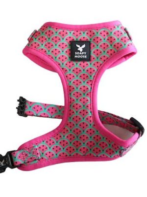 Watermelons harness front