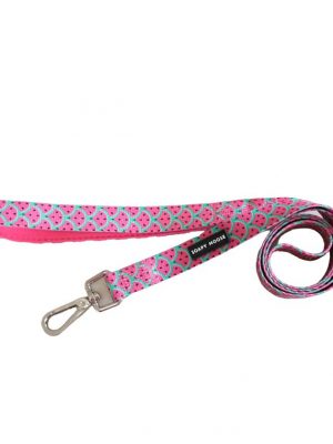 Watermelons dog lead